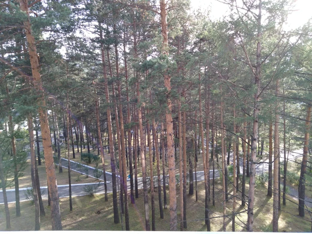 Photo of Kurort-Darasun