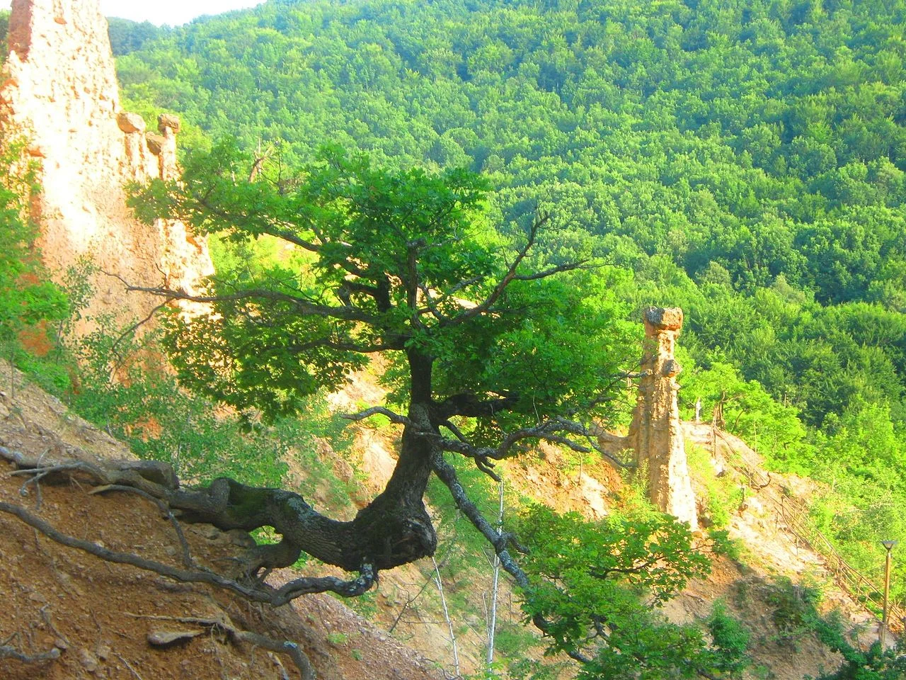 Photo of Kuršumlija