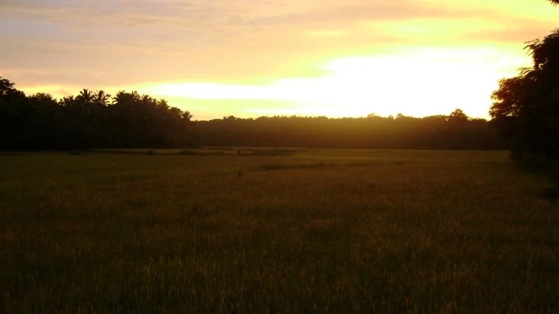 Photo of Kuruvattūr