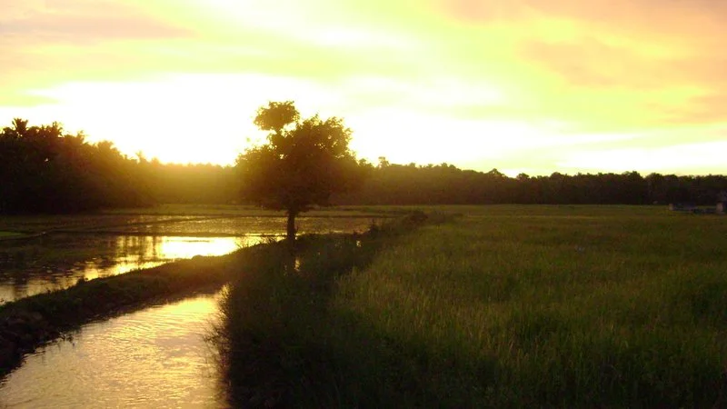 Photo of Kuruvattūr