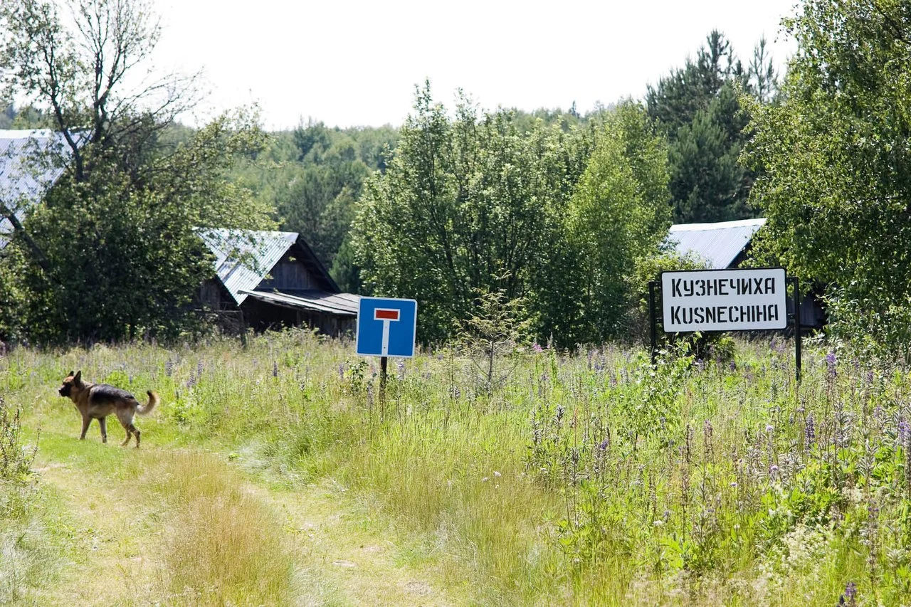 Photo of Kuznechikha