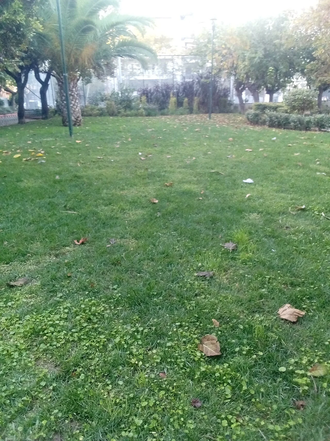 Photo of Kynopiástes