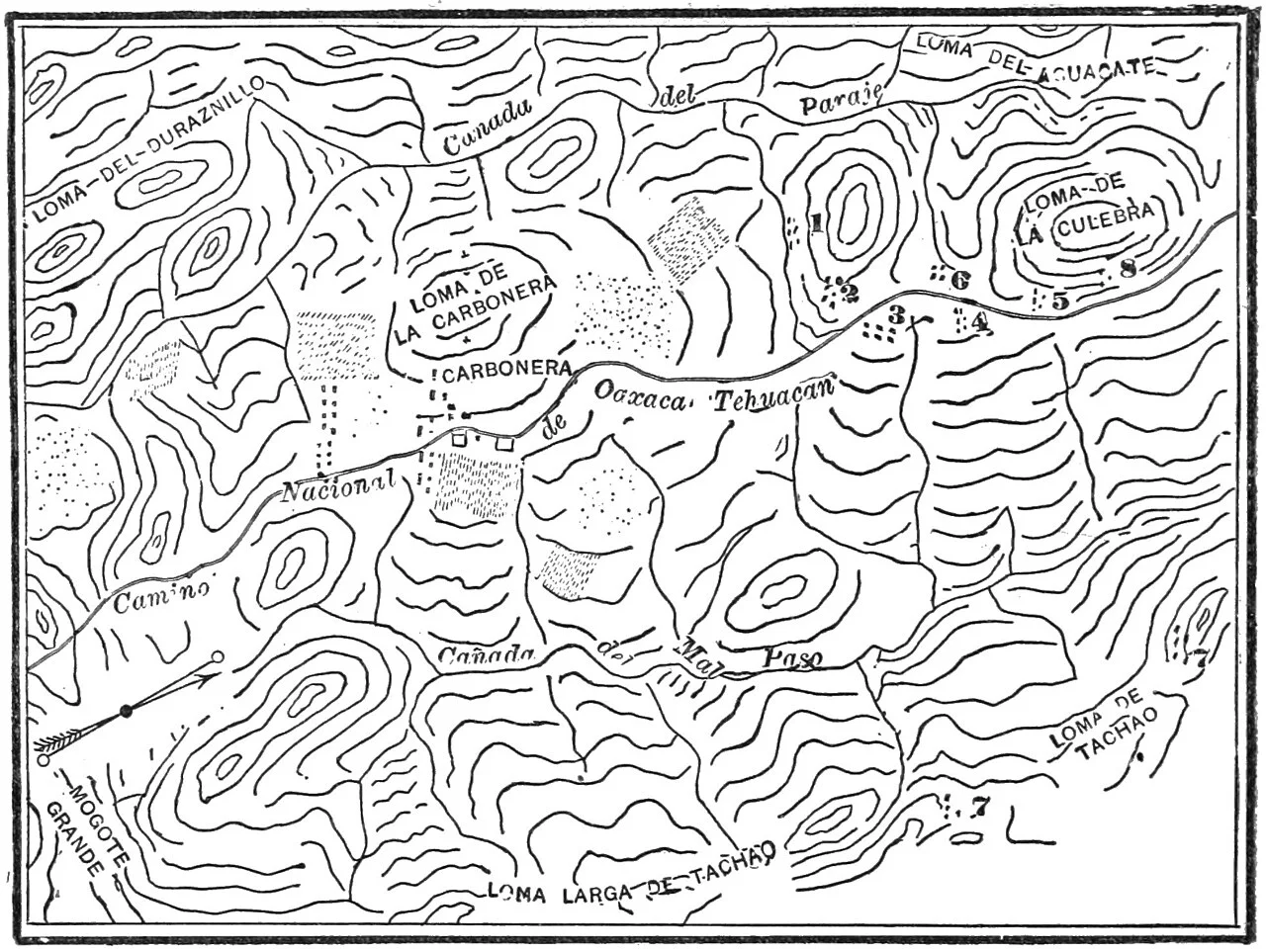 Photo of La Carbonera