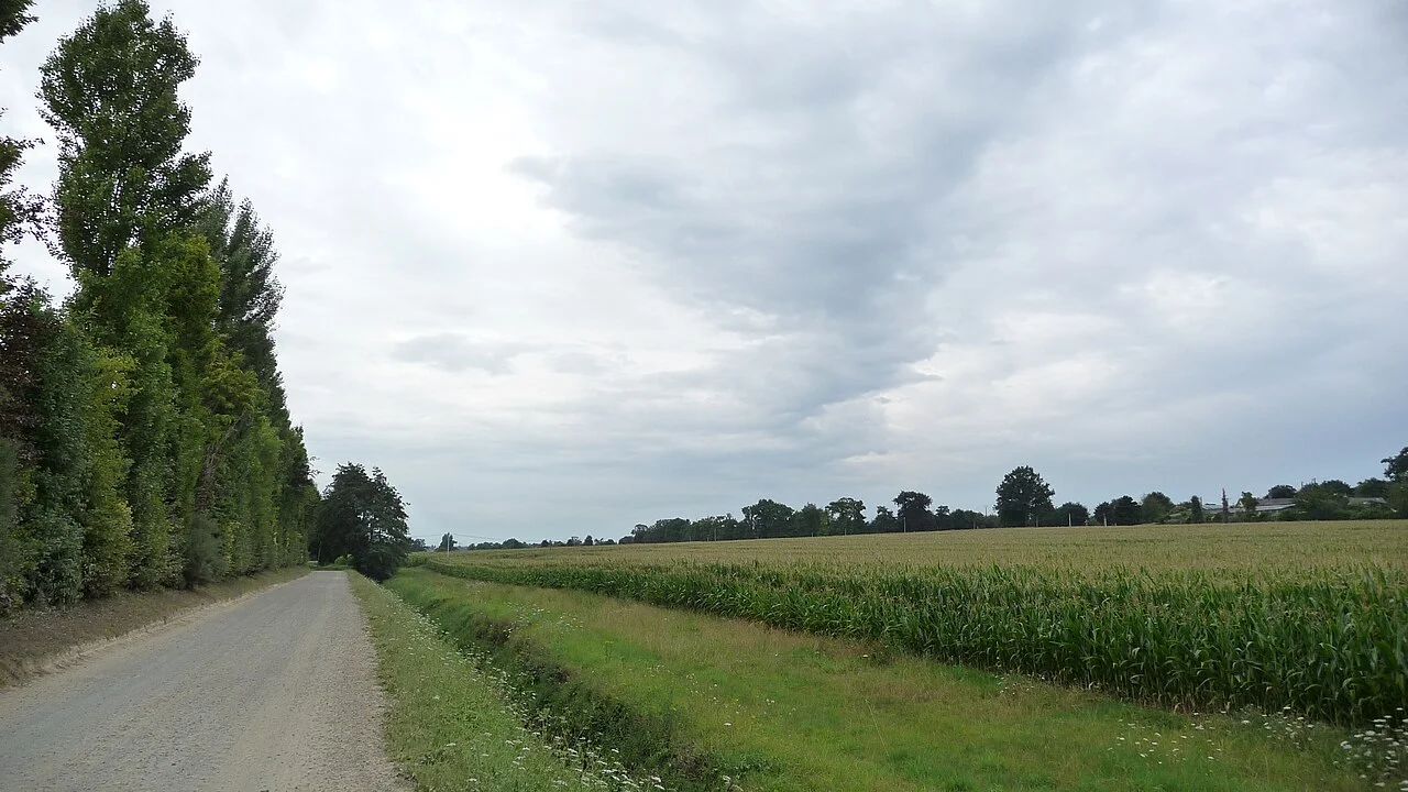Photo of La Chapelle-des-Fougeretz