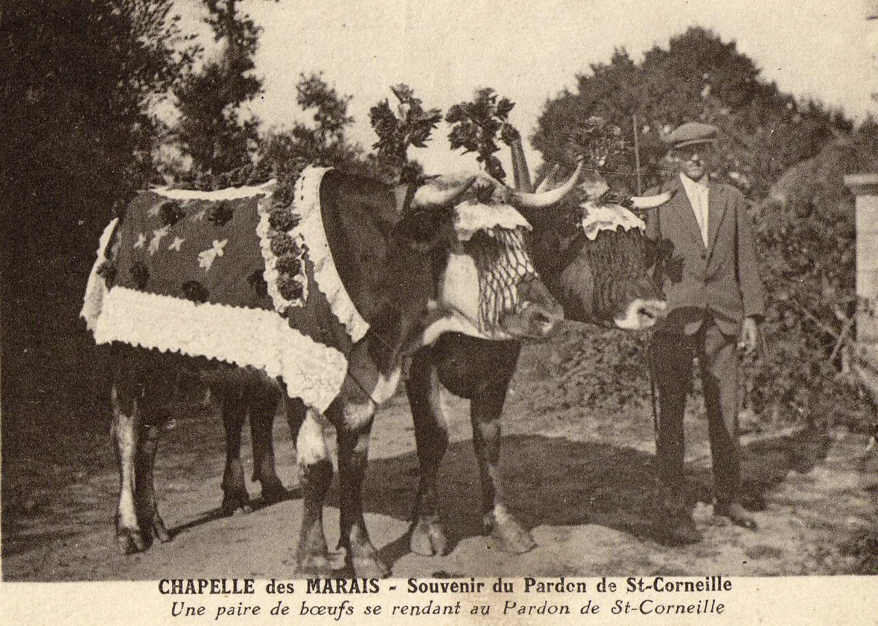 Photo of La Chapelle-des-Marais