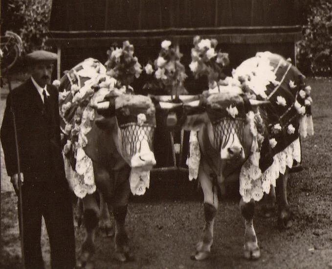 Photo of La Chapelle-des-Marais