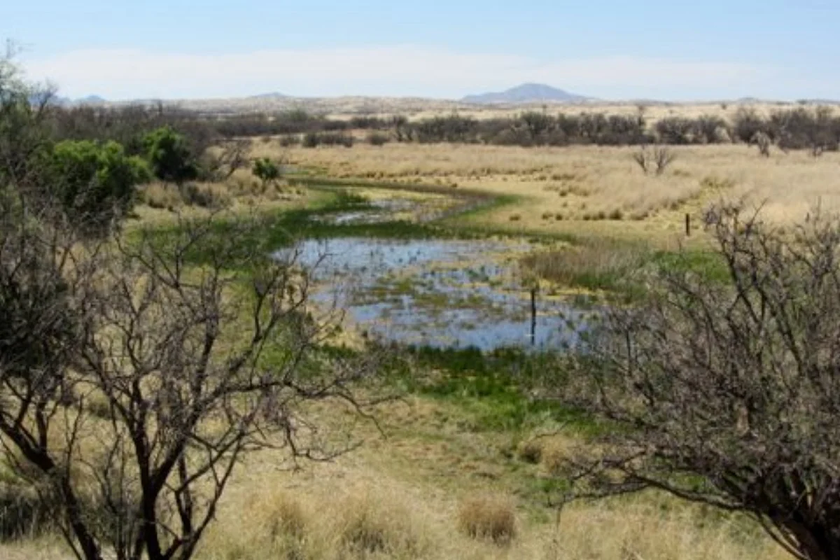 Photo of La Ciénega