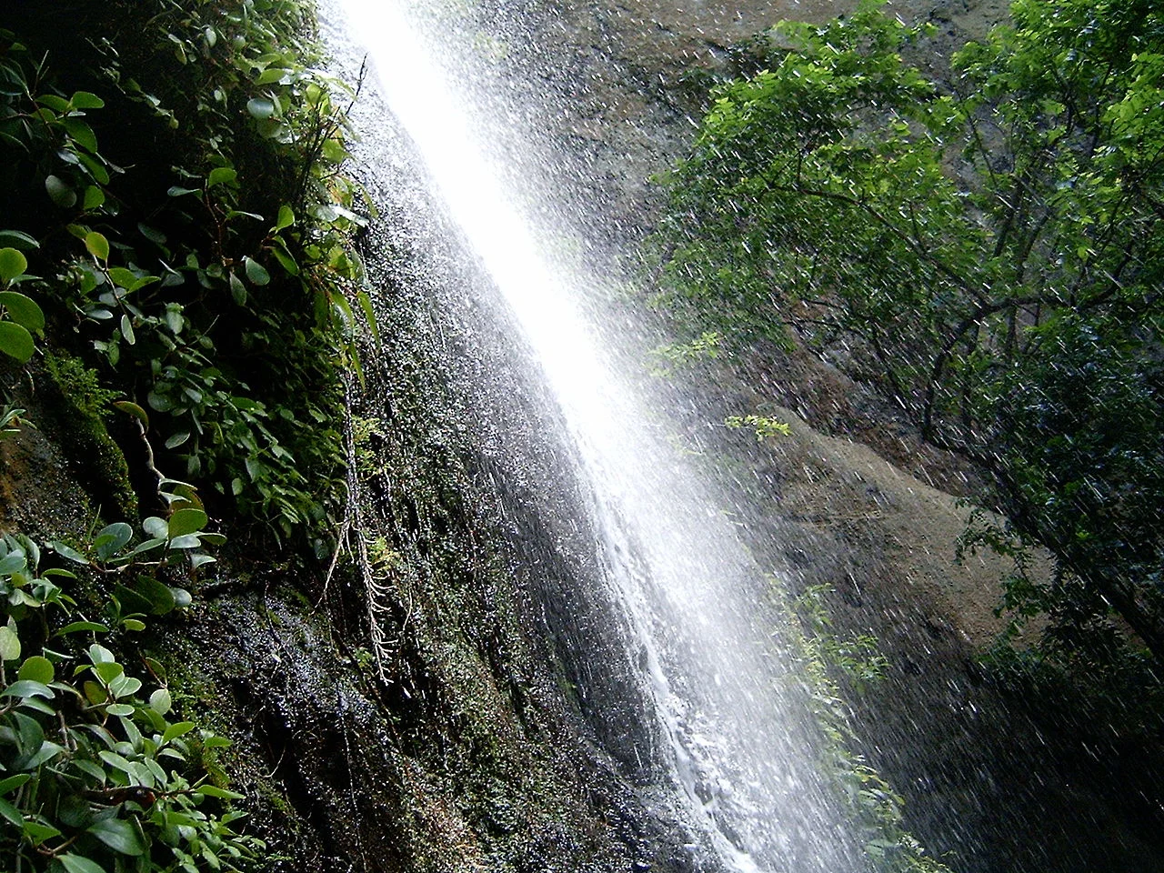 Photo of La Concepción