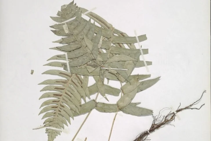 Photo of La Cruz de Río Grande