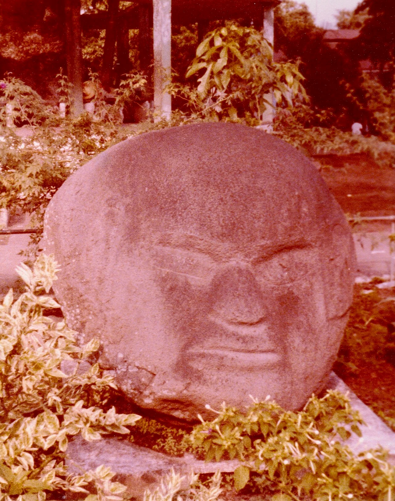 Photo of La Democracia