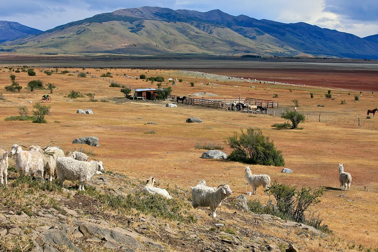 Photo of La Estancia