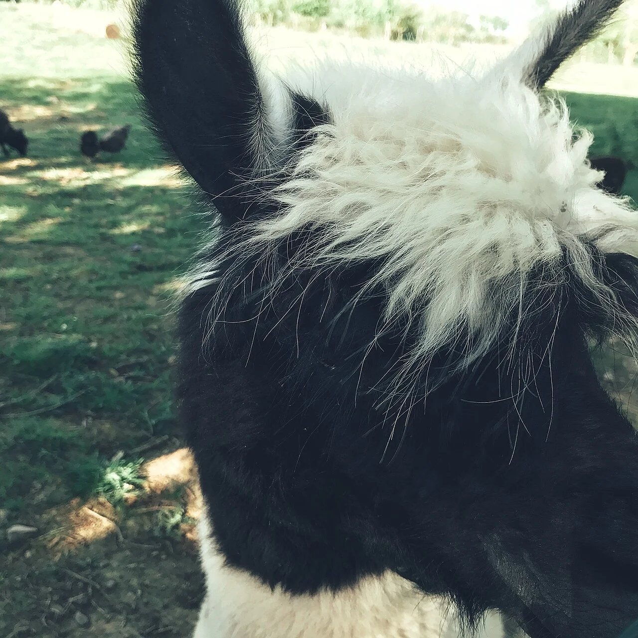 Photo of La Guyonnière