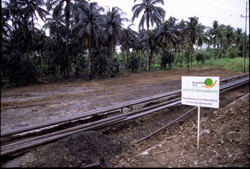 Photo of La Joya de Los Sachas