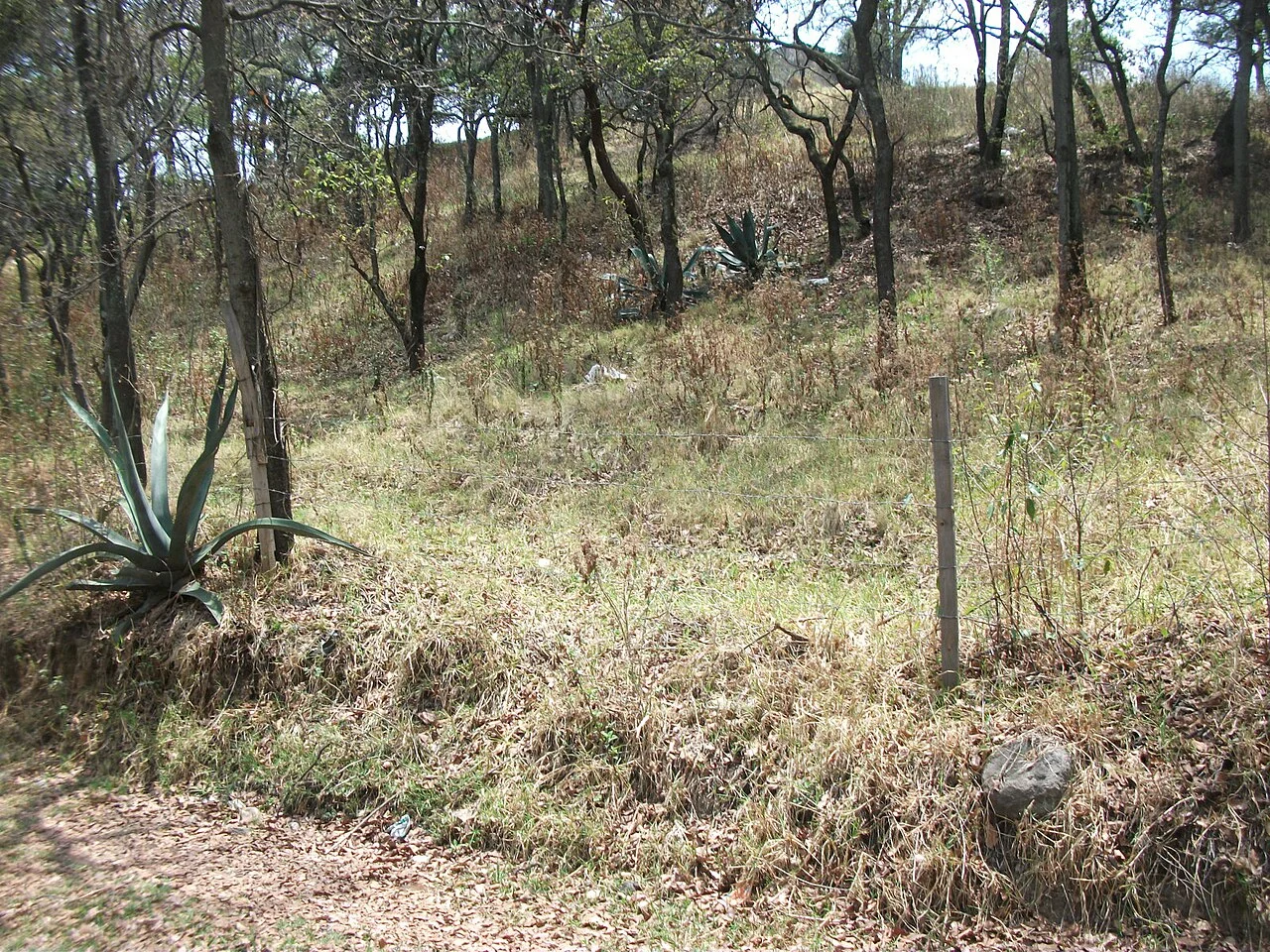 Photo of La Magdalena Chichicaspa