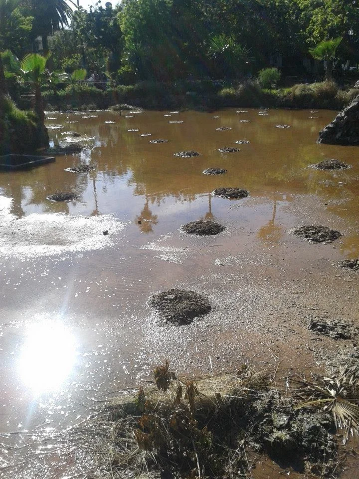 Photo of La Mohammedia