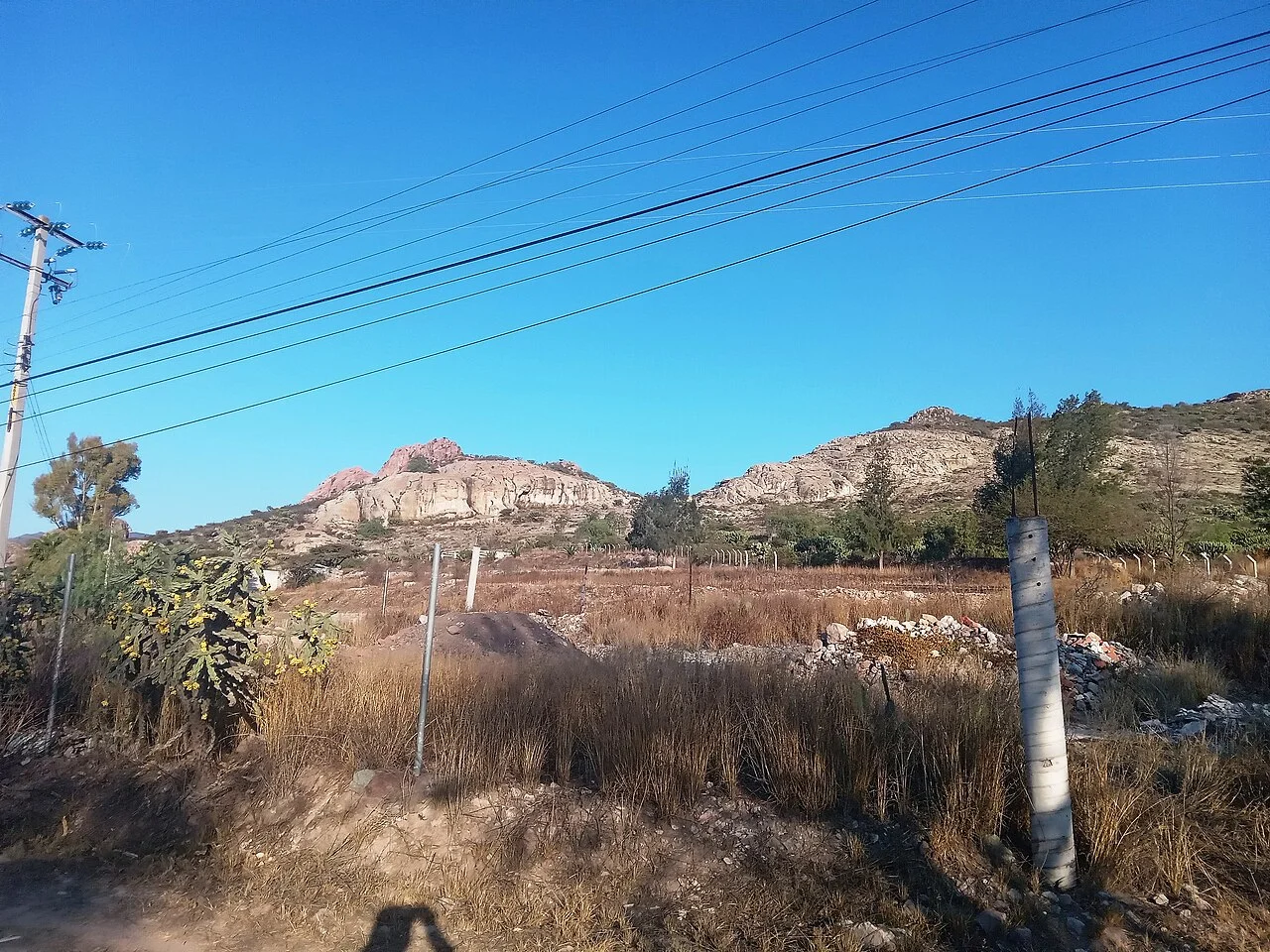 Photo of La Planada (El Arenal)