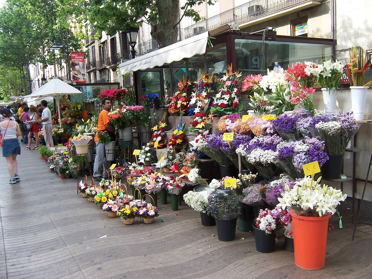 Photo of La Rambla