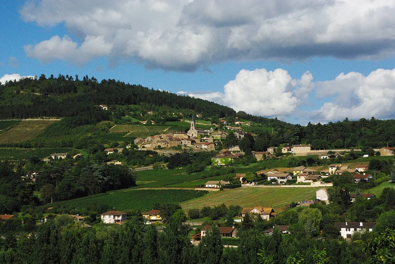 Photo of La Roche-Vineuse