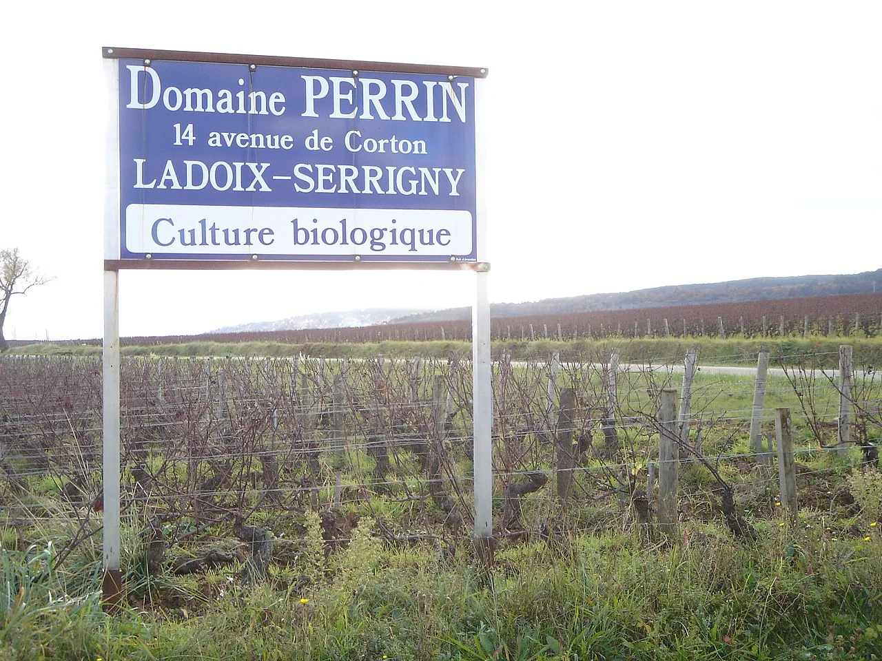 Photo of Ladoix-Serrigny