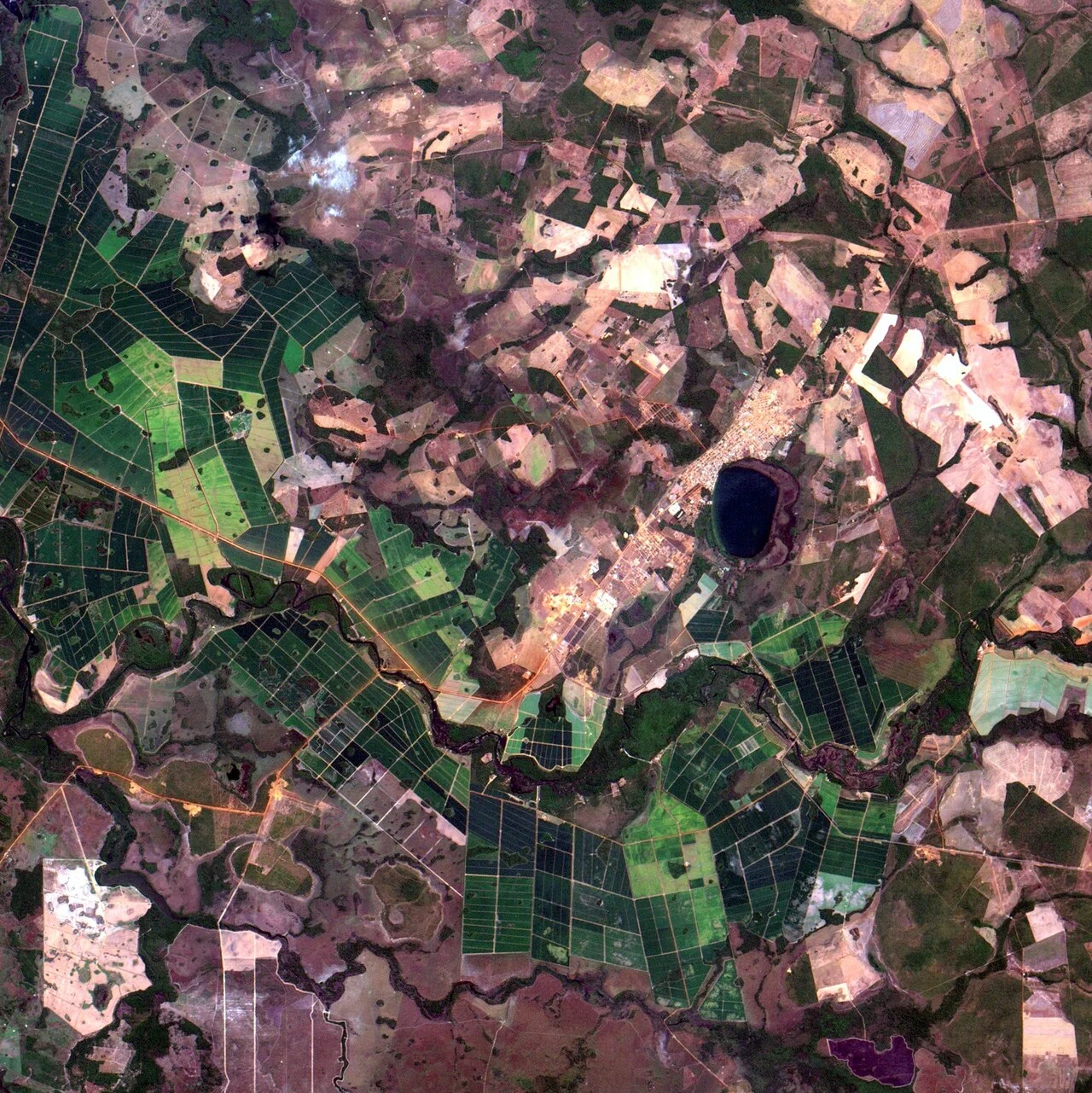 Photo of Lagoa da Confusão