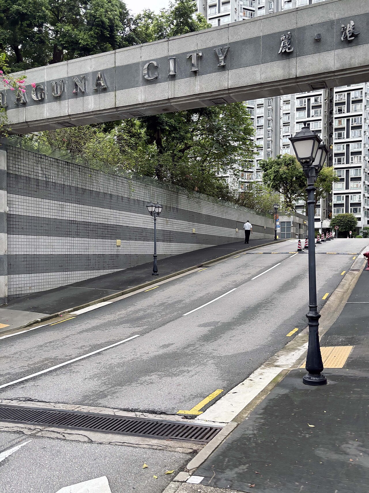 ​麗港東街，位於觀塘的街道。