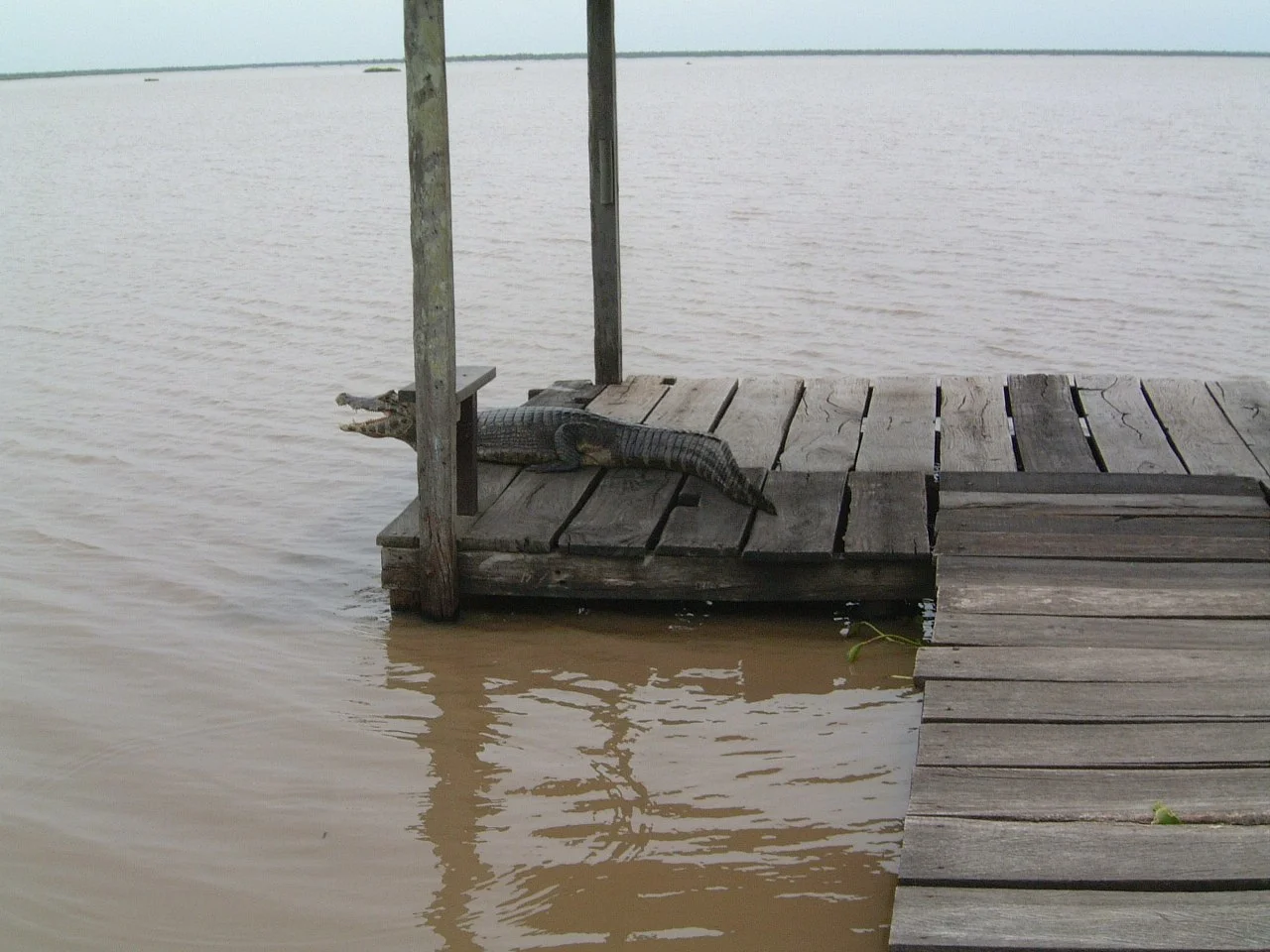 Photo of Laguna Naick-Neck