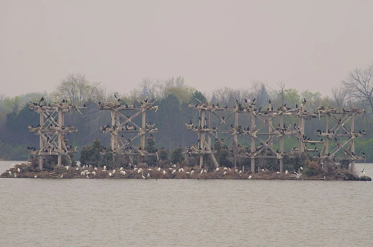 Photo of Lake Barrington