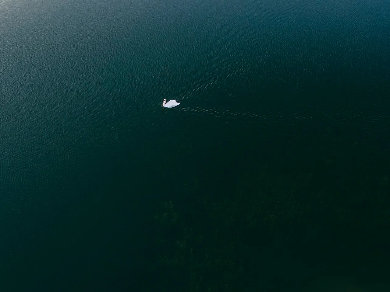 Photo of Lake Fenton