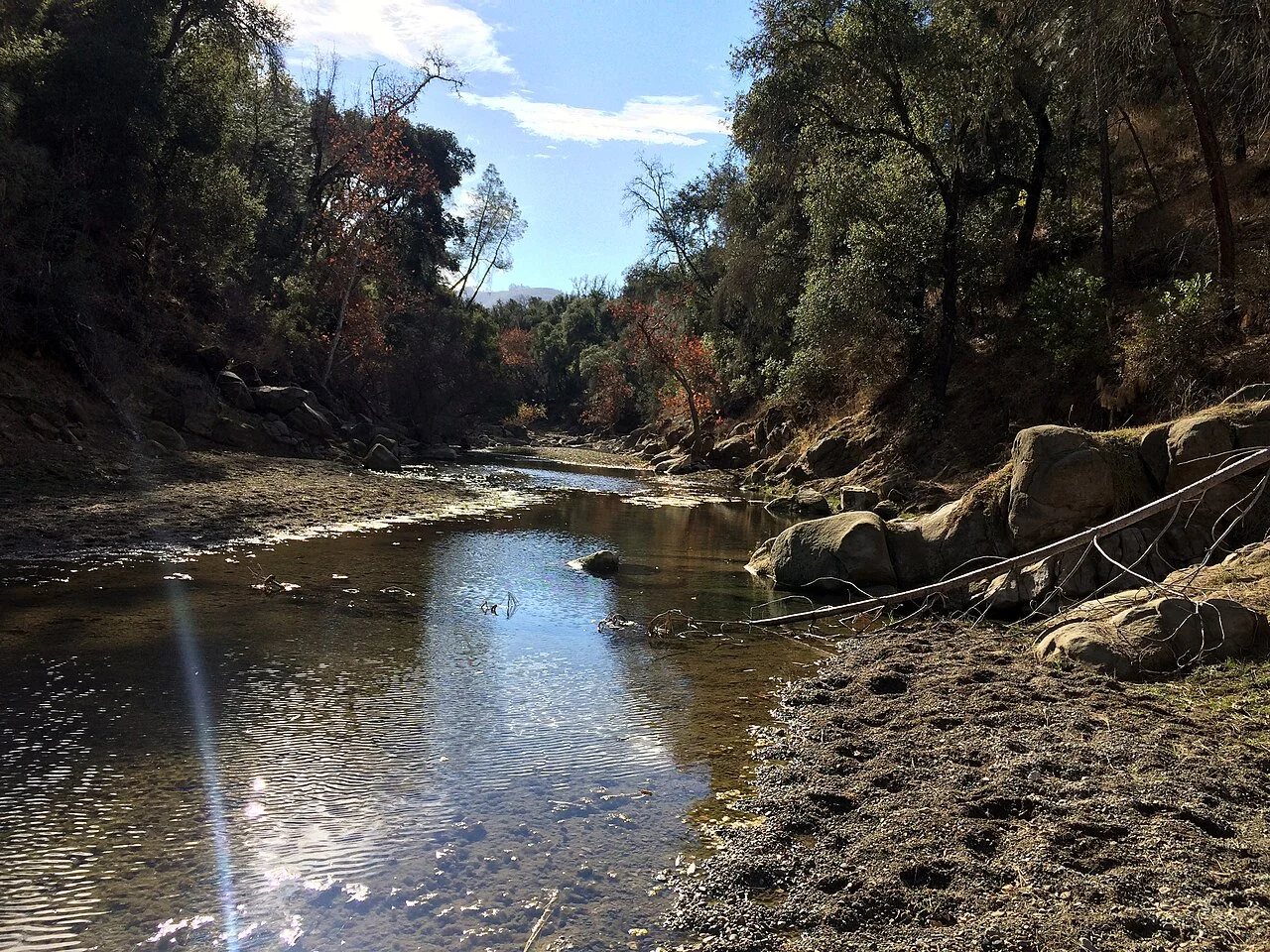 Photo of Lake Nacimiento