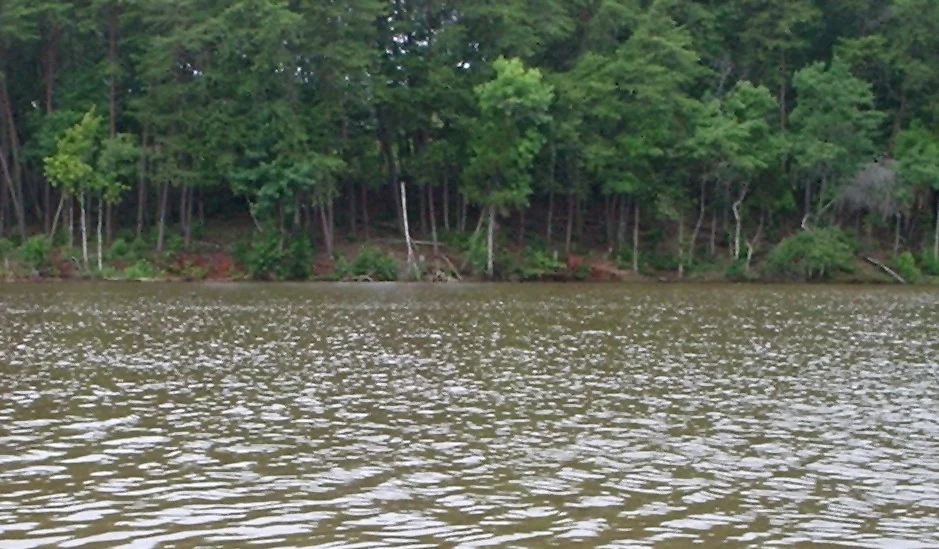 Photo of Lake Norman of Catawba