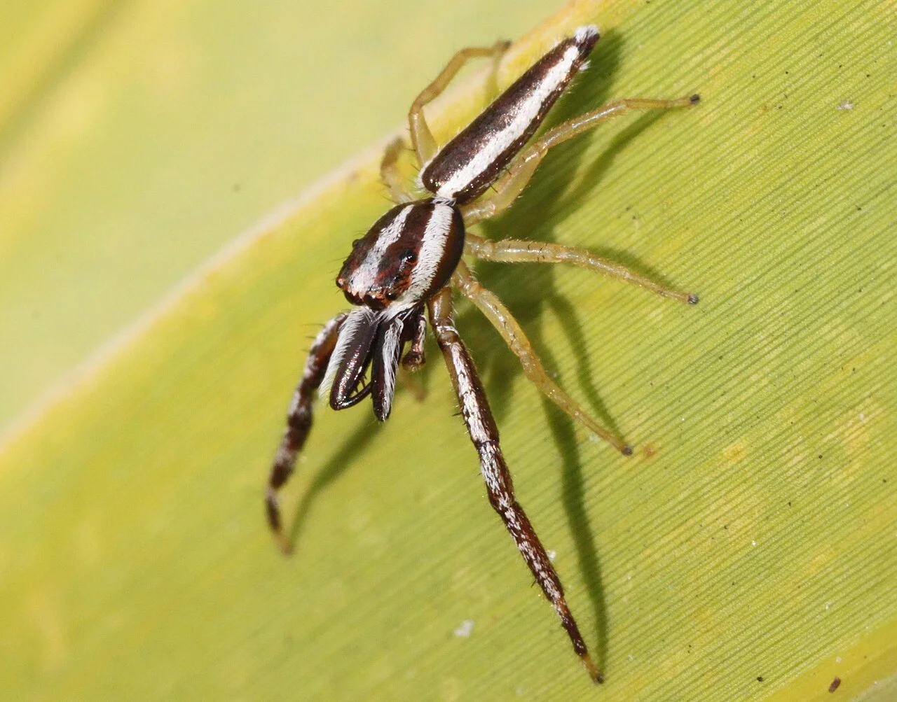 Photo of Lakeland Highlands