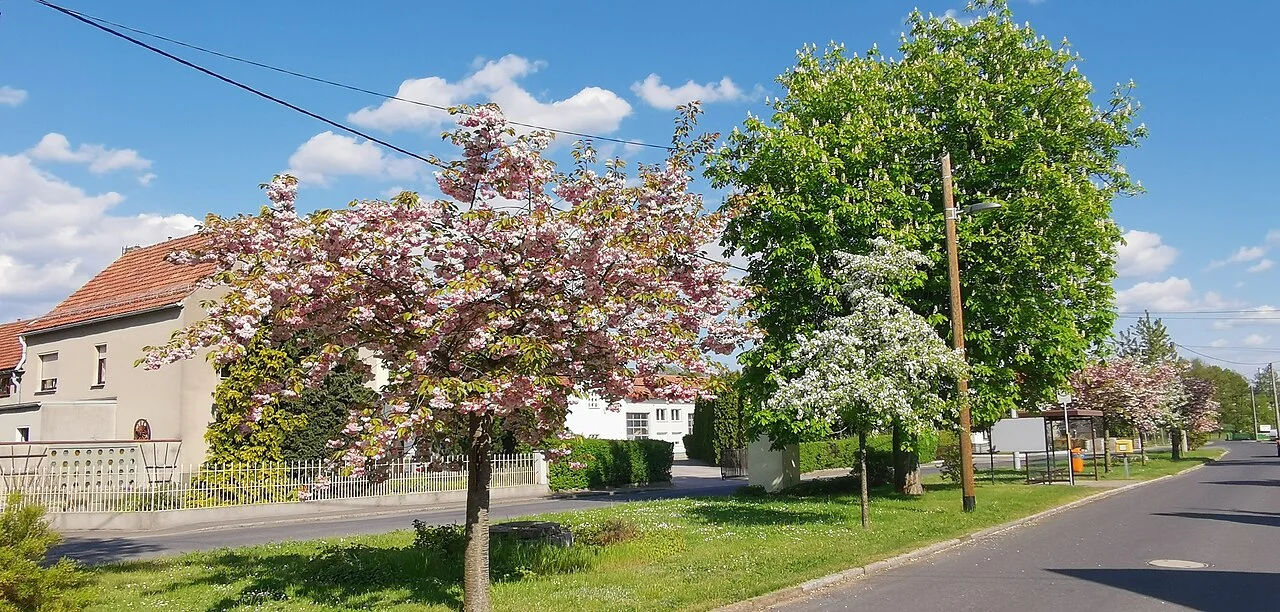 Photo of Lampertswalde