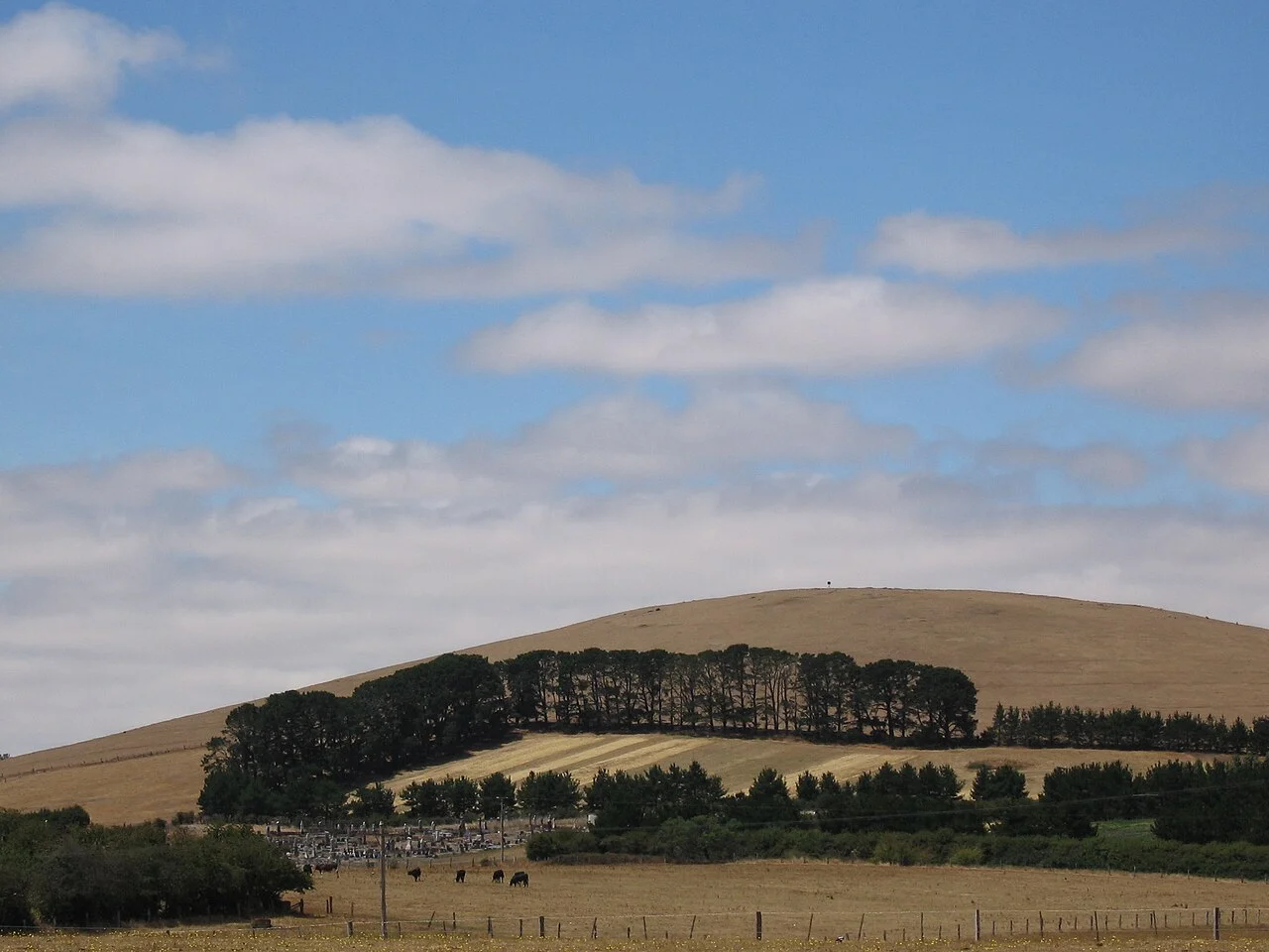 Photo of Lancefield