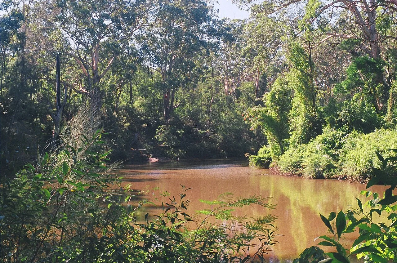 Photo of Lane Cove North