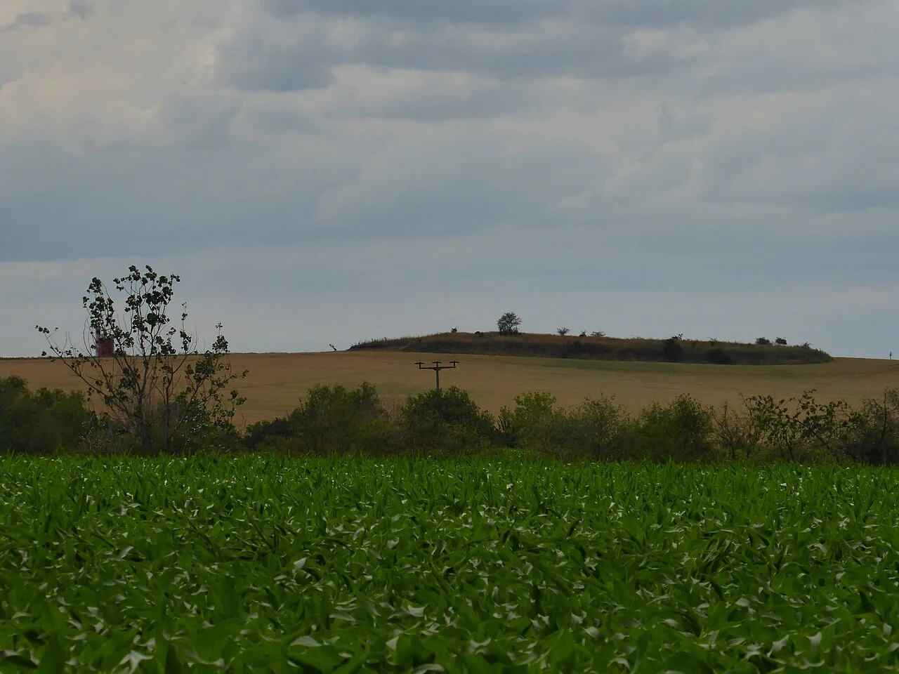 Photo of Langenbogen
