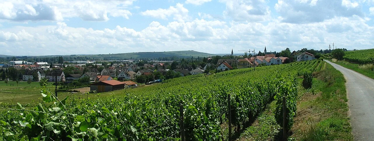 Photo of Langenlonsheim
