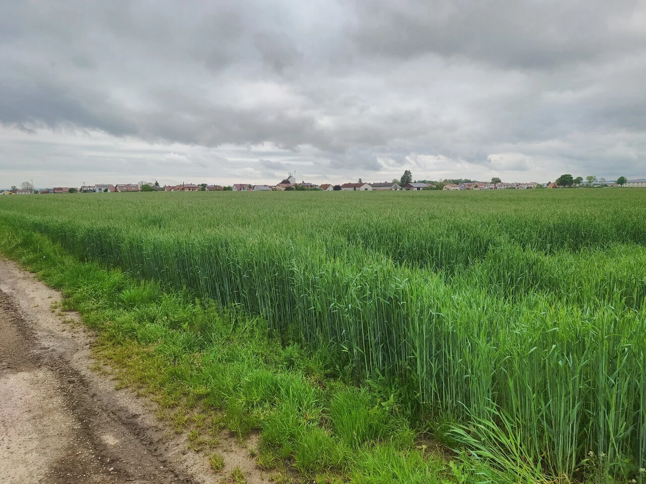 Photo of Langenmosen