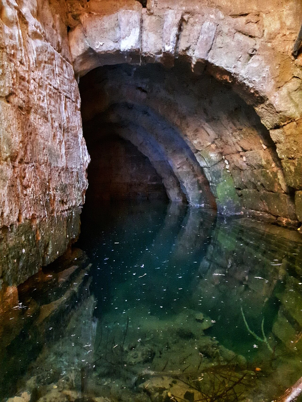 Photo of Laperdiguera