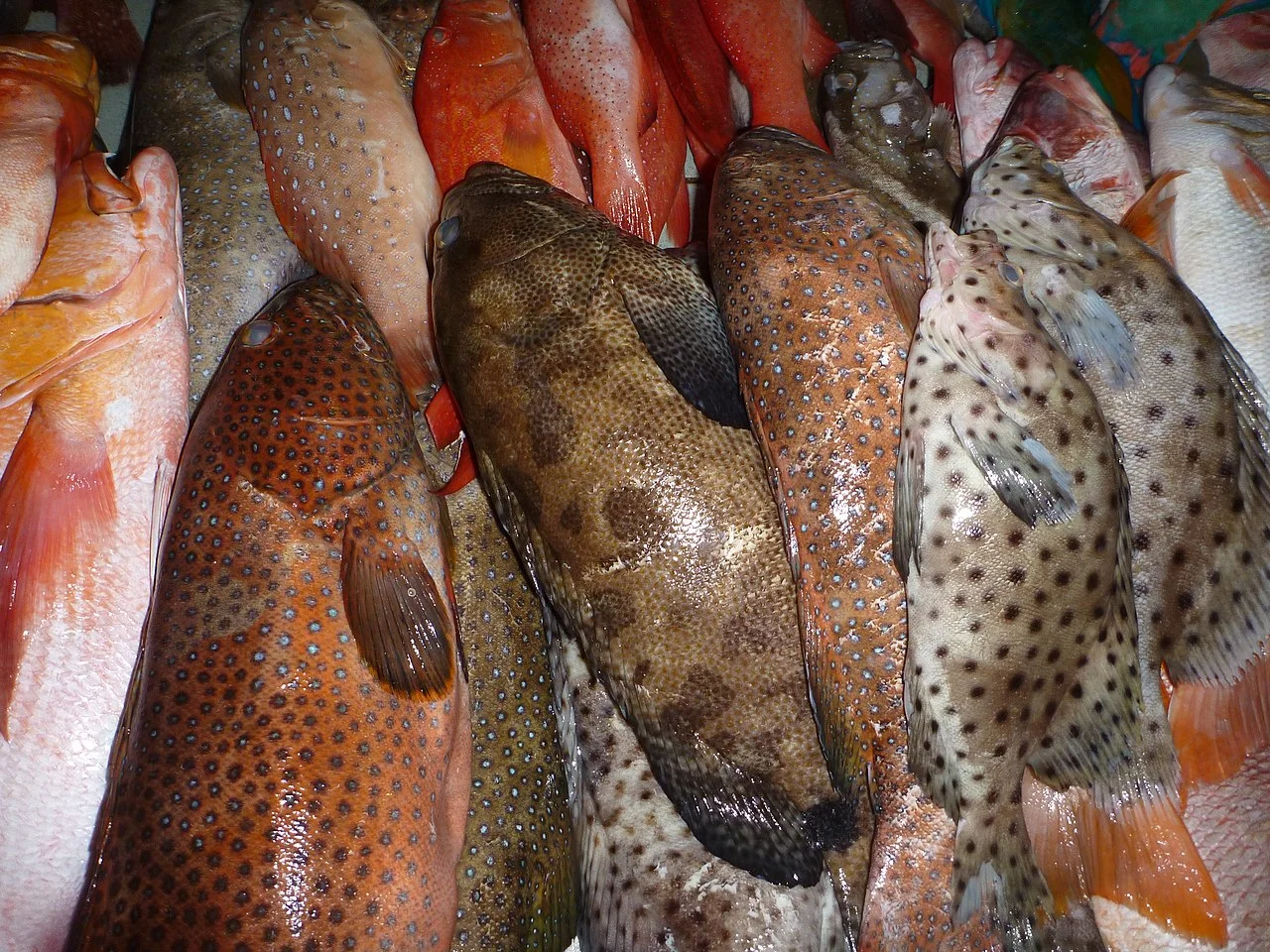 Photo of Lapu-Lapu City