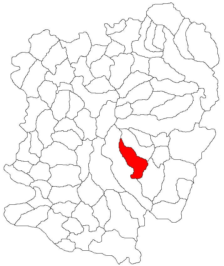 Photo of Lăpuşnicel