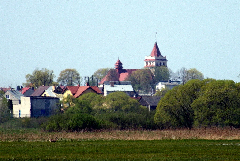 Photo of Łapy