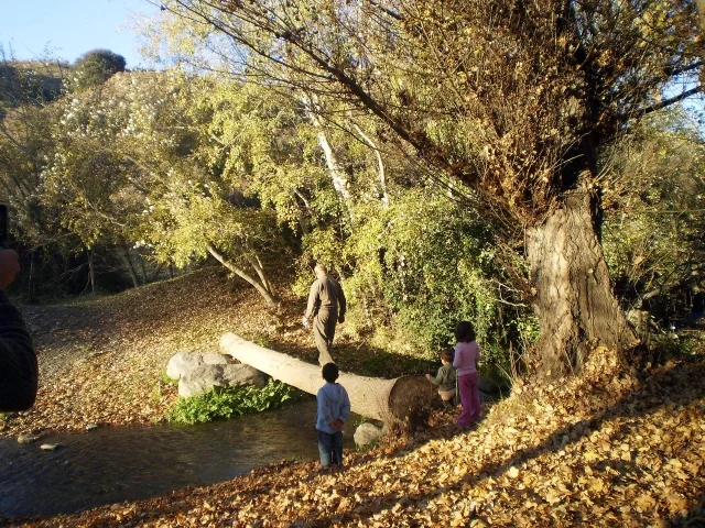 Photo of Las Acequias