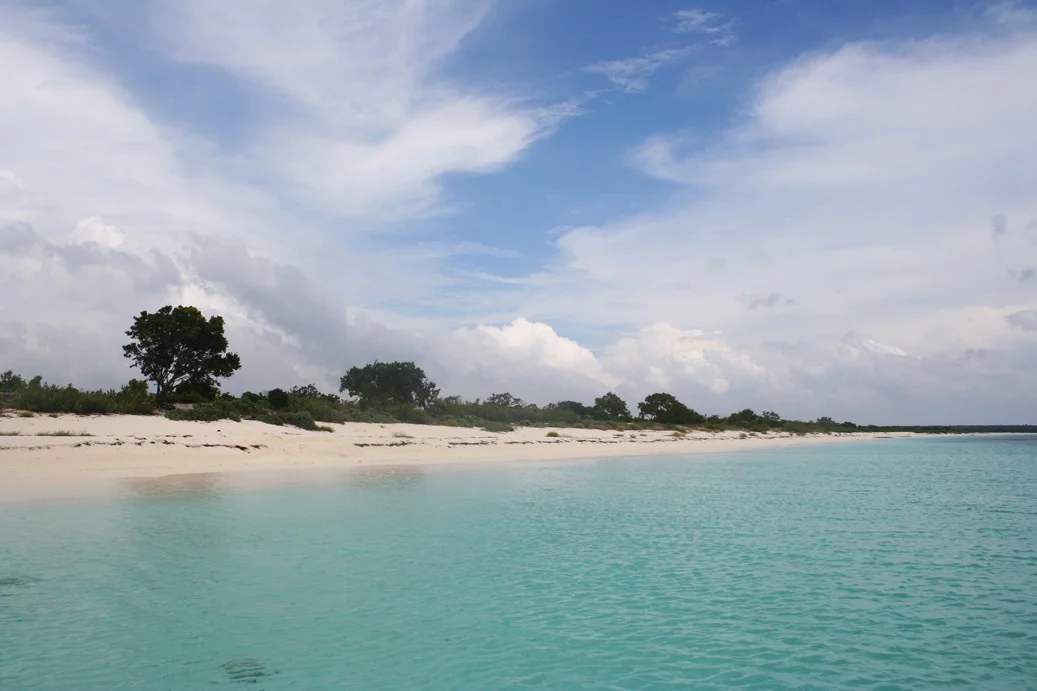 Photo of Las Águilas