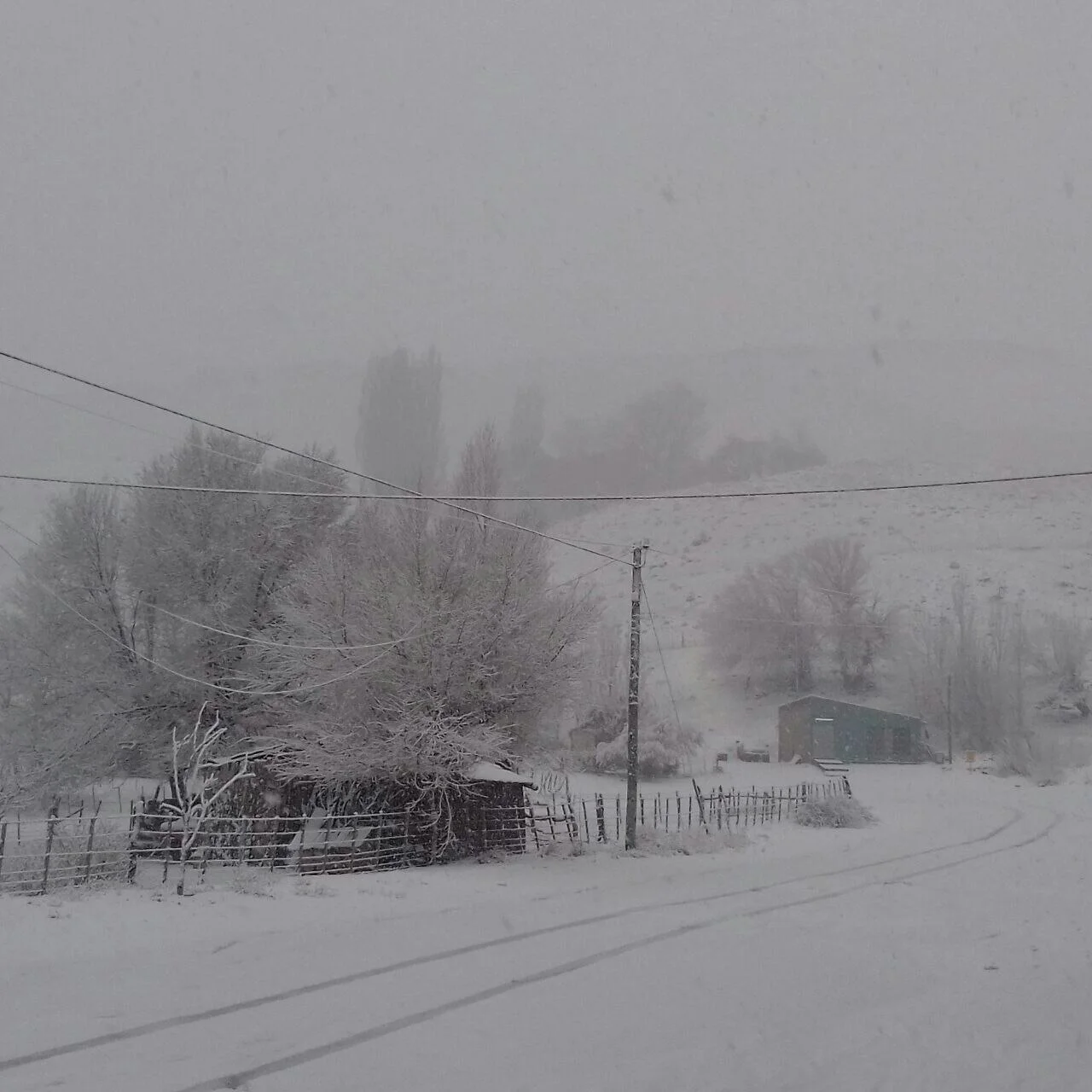 Photo of Las Coloradas