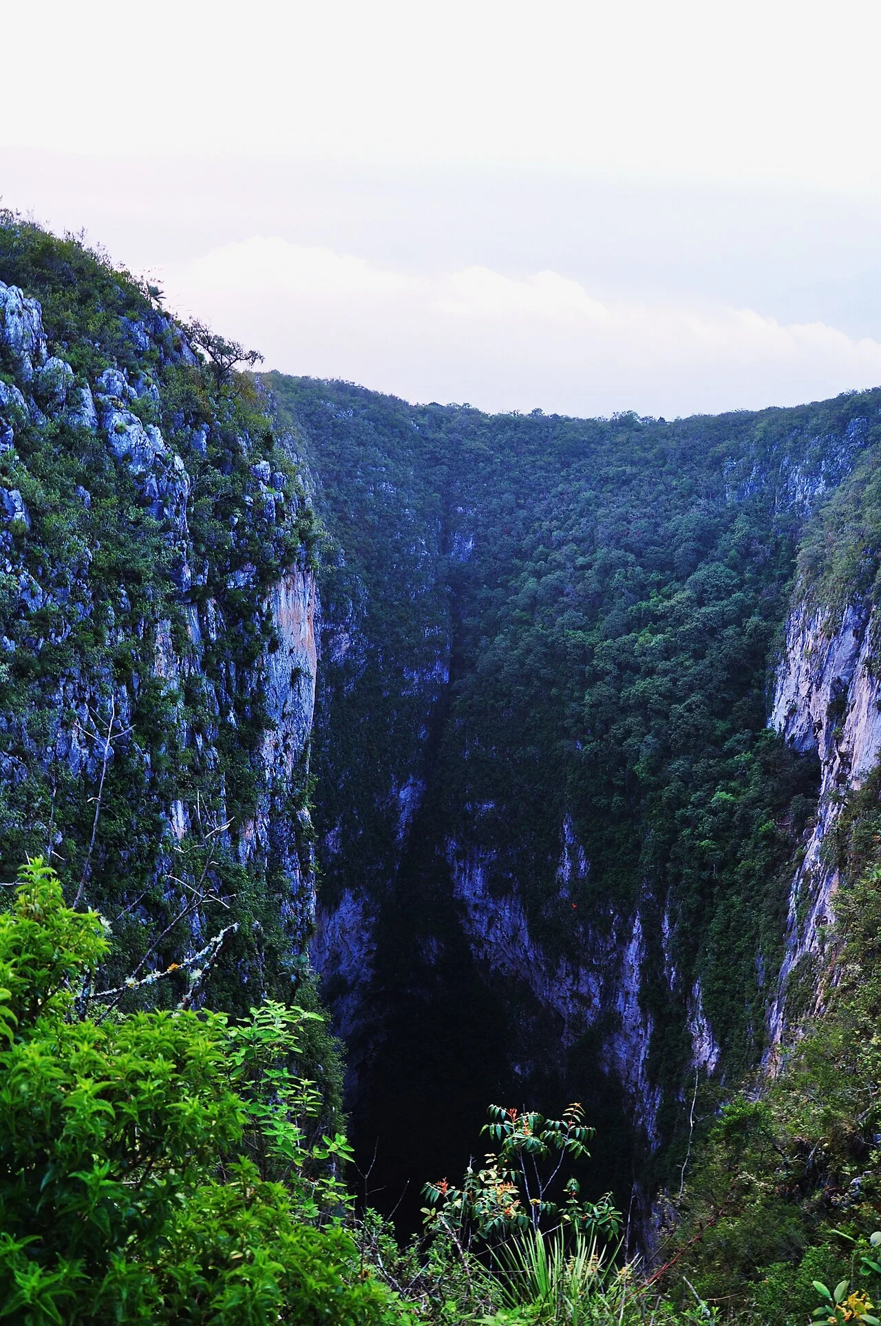 Photo of Las Guacamayas