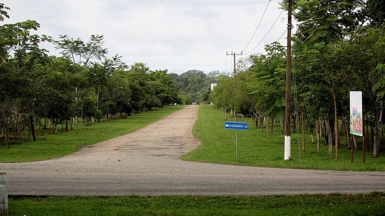 Photo of Las Guacamayas
