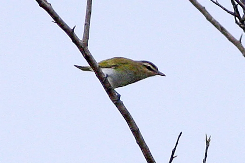 Photo of Las Lajitas