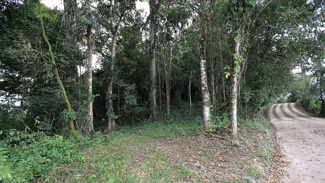 Photo of Las Margaritas