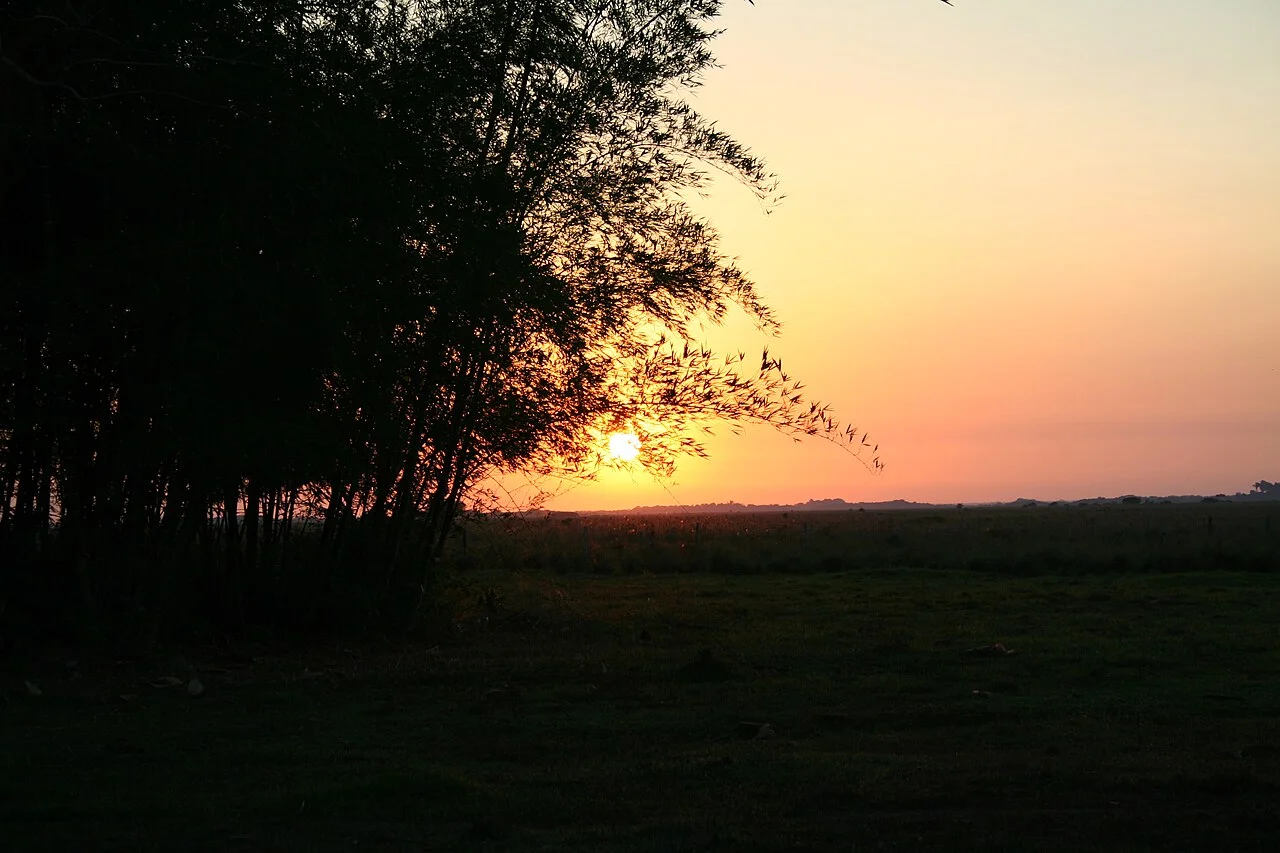 Photo of Las Sabanas