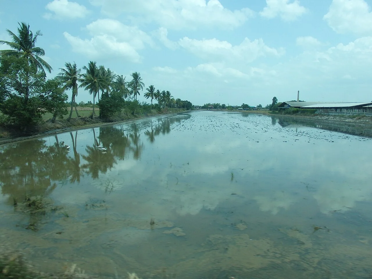 Photo of Lat Bua Luang